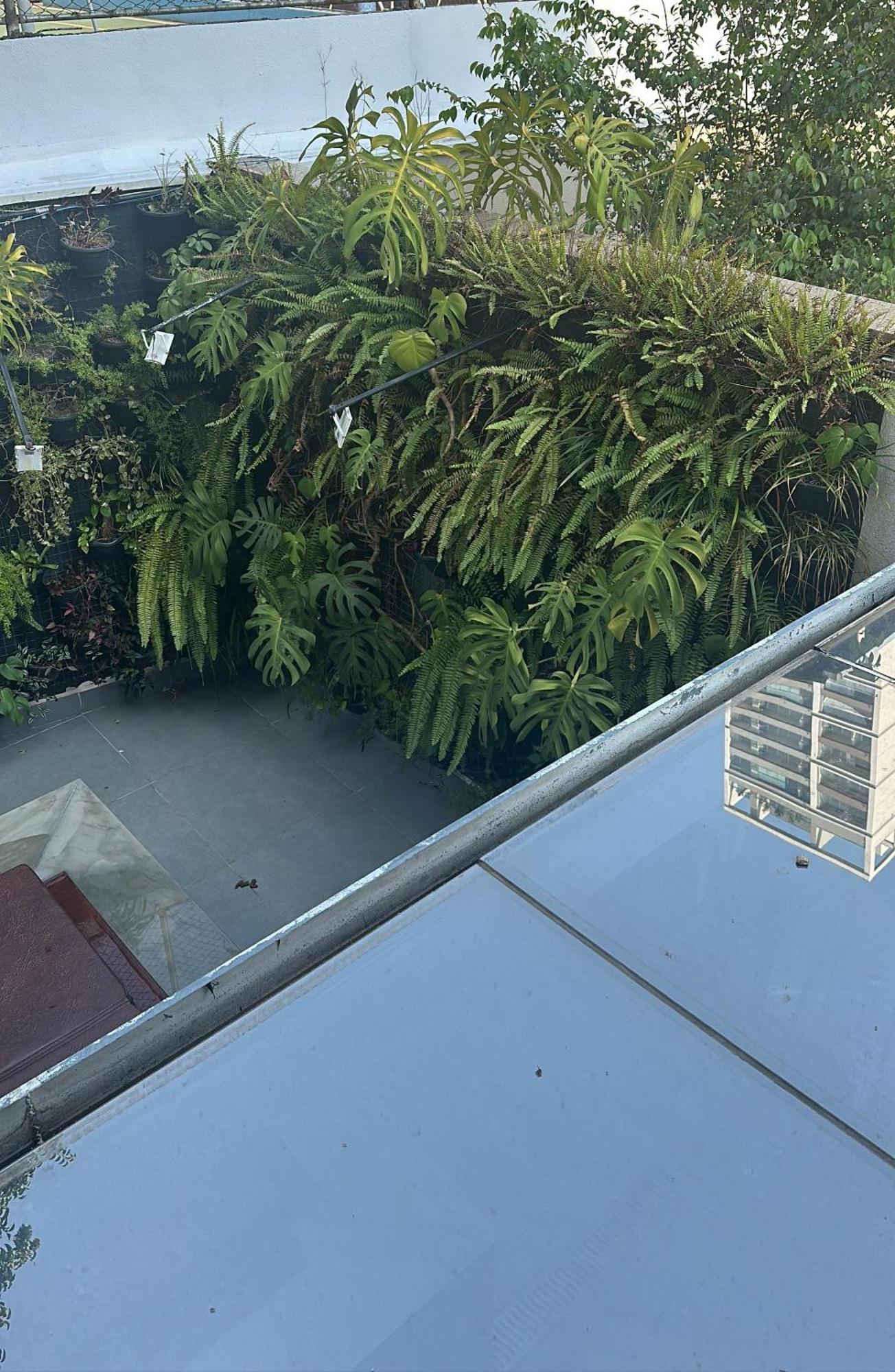 Allianz Parque , Perdizes São Paulo Exteriör bild
